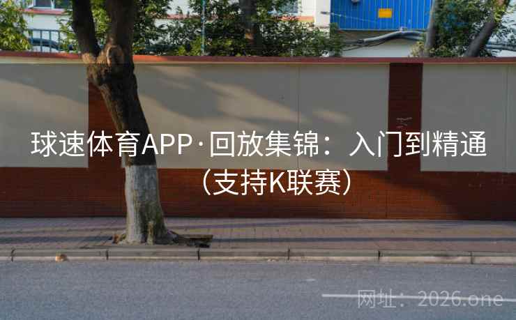 球速体育APP·回放集锦：入门到精通（支持K联赛）