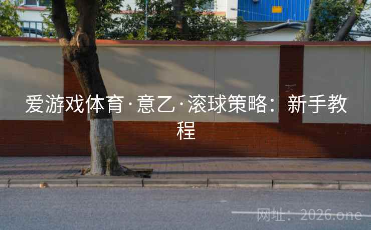 爱游戏体育·意乙·滚球策略:新手教程 第2张 爱游戏体育·意乙·滚球策略:新手教程 第2张